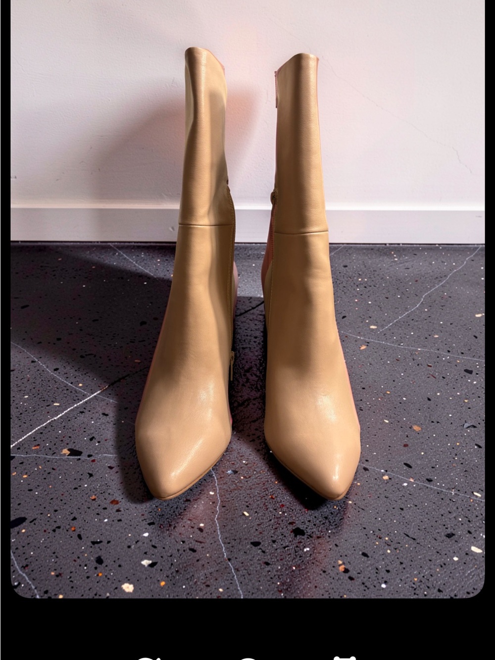 Charles By Charles David Nude Smooth Palisades Pointed-Toe Mid-Calf Heeled Boots